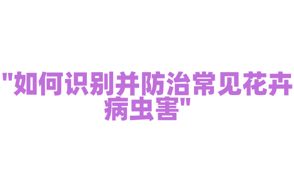 "如何识别并防治常见花卉病虫害"